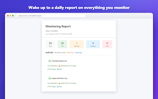 Website & Domain Monitor + App, Extension & Social Tracker · Pulse screenshot