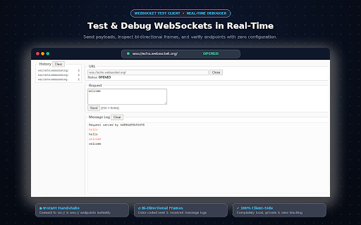 WebSocket Test Client screenshot
