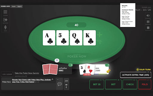 PokerNow Assistant screenshot