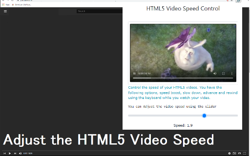 HTML5 Video Speed Control screenshot