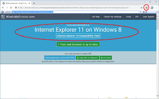 IE Tab screenshot