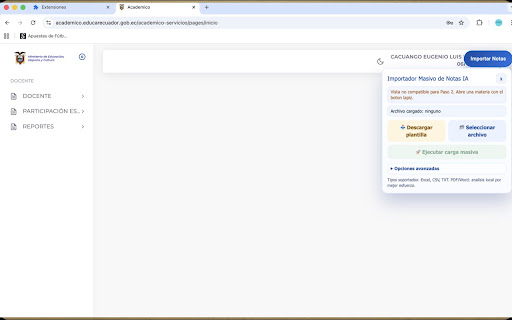 Importador de Notas Mineduc screenshot