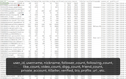 TikTok Follower Export Tool screenshot