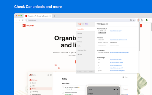 SEO Lens | A free tool for On-page seo screenshot