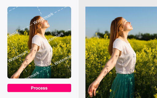Watermark Remover from Photo | Inpaint screenshot