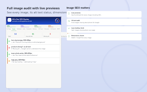 All in One SEO Checker screenshot