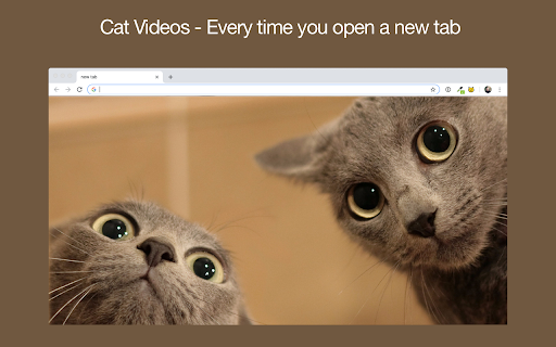 Meow Meow Woof screenshot