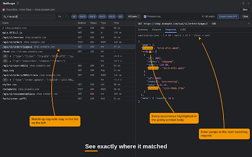 NetScope – Search Network Responses & WebSockets screenshot