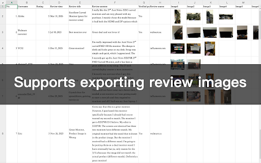 Walmart Review Export - Download Reviews to Excel & Media screenshot
