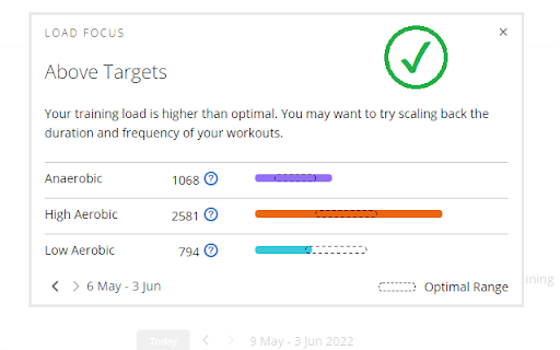 Garmin Connect Web Missing LoadFocus Fixer screenshot