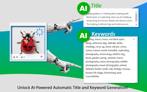 Easy Keywords for AdobeStock screenshot