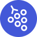 Gather Meetings v2 icon