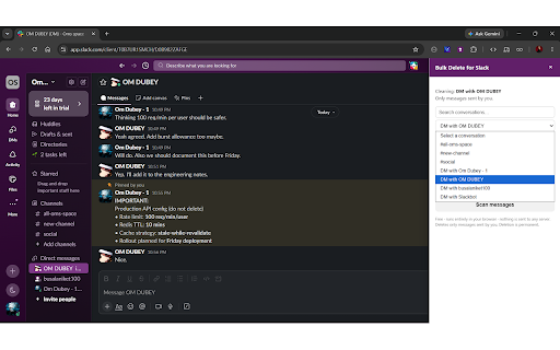 Free Bulk Delete for Slack — Messages, DMs & Group Chats screenshot