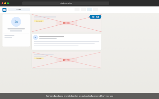 LinkedIn Filter – Hide Ads & Noise in Feed screenshot