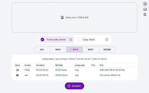 Video Converter screenshot