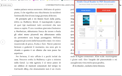 Kindle Cloud Reader to PDF Downloader screenshot