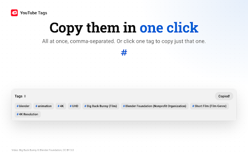 YouTube Tags — Video Tag Viewer & Extractor for Any Video screenshot