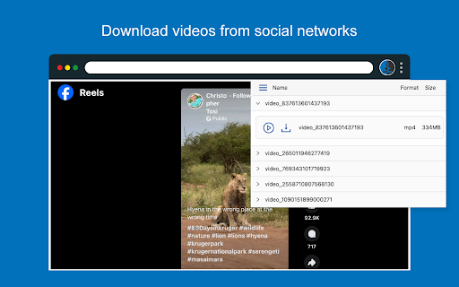 video downloader screenshot