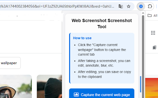 Web Screenshot Screenshot Tool screenshot