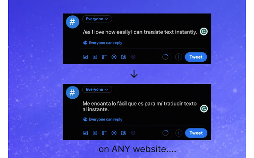 EveryLanguage.ai - Instant Language Translator screenshot
