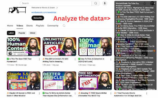 WordsAtScale YouTube Spy screenshot