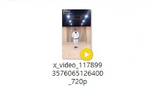 X Video Downloader screenshot