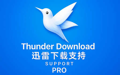Thunder Download Support Pro screenshot