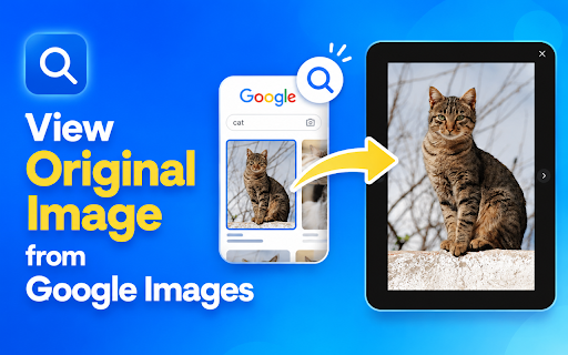 View original image from Google Images screenshot
