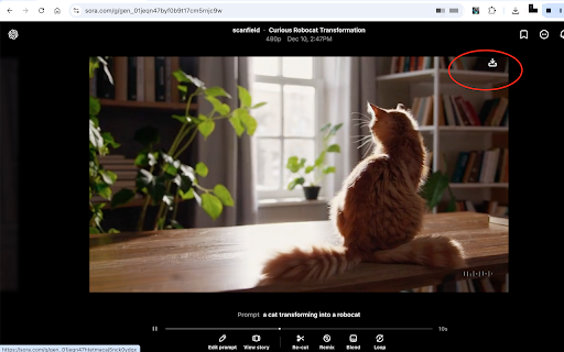Sora Video Downloader screenshot