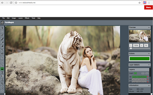 Image editor PaintMagick for photos screenshot