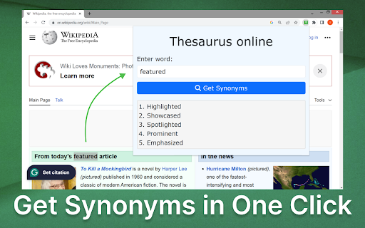 Thesaurus online screenshot