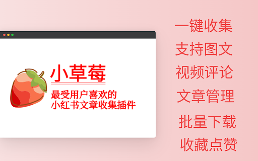 小草莓 - 支持小红书视频批量下载 screenshot