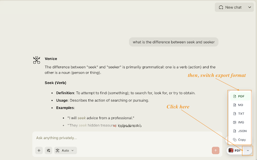 Venice AI to PDF: Export Venice AI Chats to PDF, Markdown, JSON screenshot