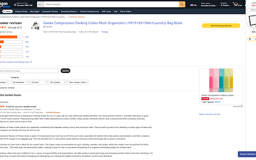 Null Fake - Product Review Authenticity Analyzer screenshot
