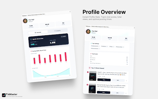 TikMaster - TikTok Profile Analyzer & Video Downloader screenshot