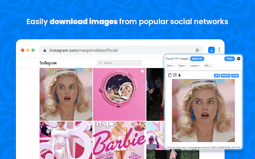 Image Downloader - Save pictures screenshot