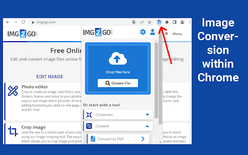 Online Image Editor (img2go.com) screenshot