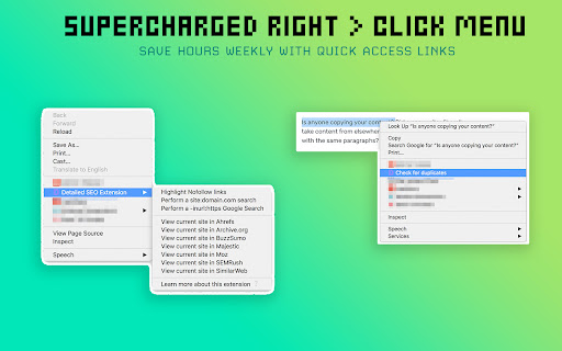 Detailed SEO Extension screenshot