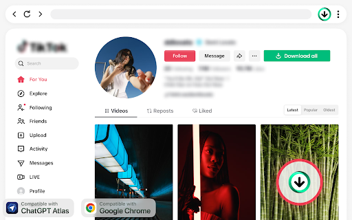 TikTok Video Downloader — Save Videos screenshot