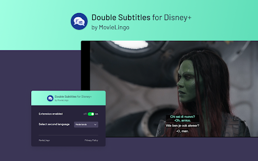Double Subtitles for Disney+ by MovieLingo screenshot