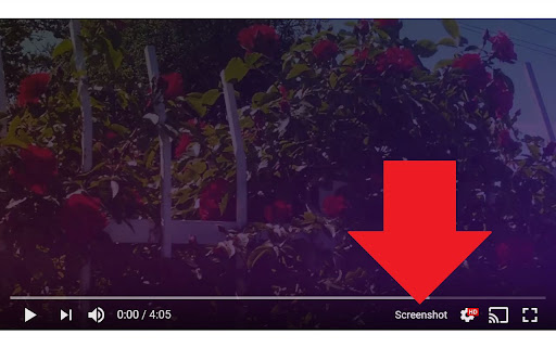Screenshot YouTube screenshot