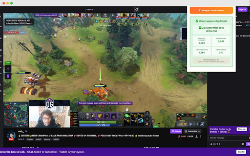 Twitch View Bot Checker screenshot