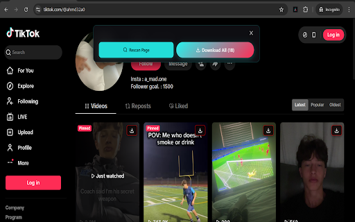 Bulk TikTok Video Downloader screenshot