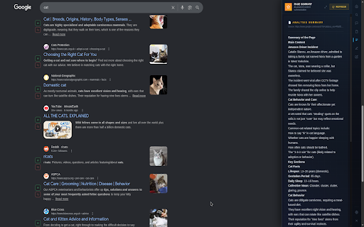 SamAI - Summarize, Chat, Fill Forms screenshot