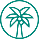 video downloader - CocoCut icon