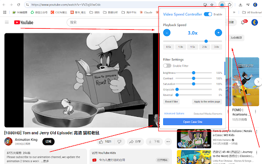 Video Speed Controller screenshot