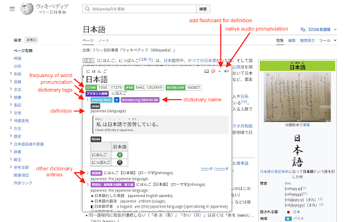 Yomitan Popup Dictionary screenshot