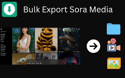Sora Exporter - Download OpenAI Sora Media and Metadata screenshot