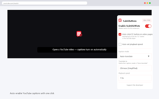 SubtitleMate for YouTube screenshot