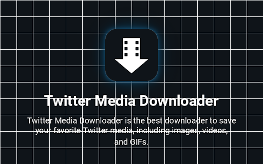 Twitter Media Downloader screenshot